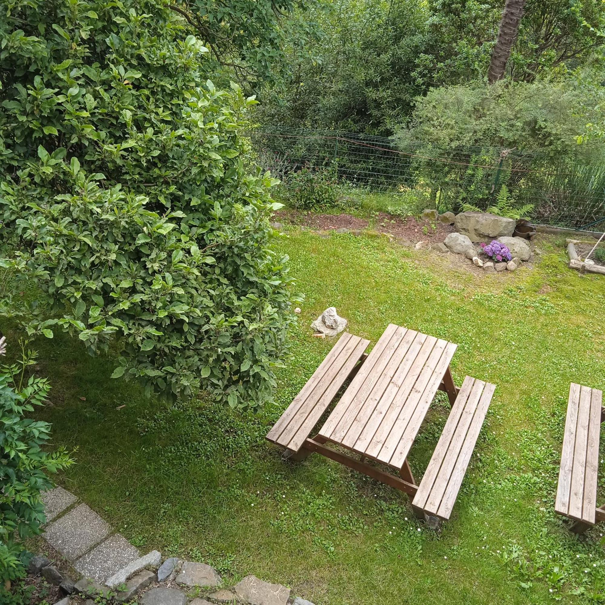 Il Canto Del Bosco Netro Esterno foto