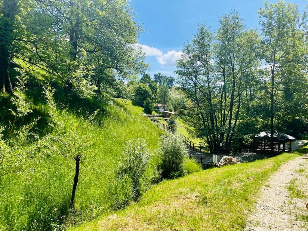 Il Canto Del Bosco Netro Esterno foto