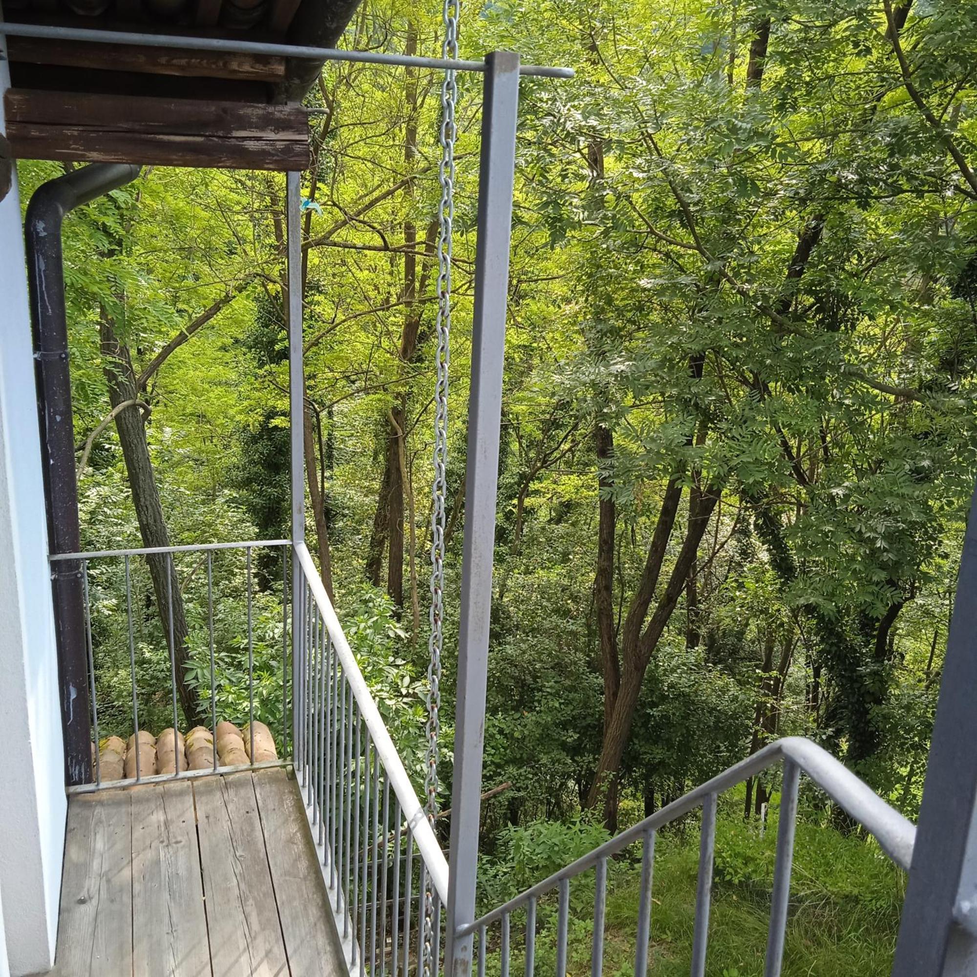 Il Canto Del Bosco Netro Esterno foto