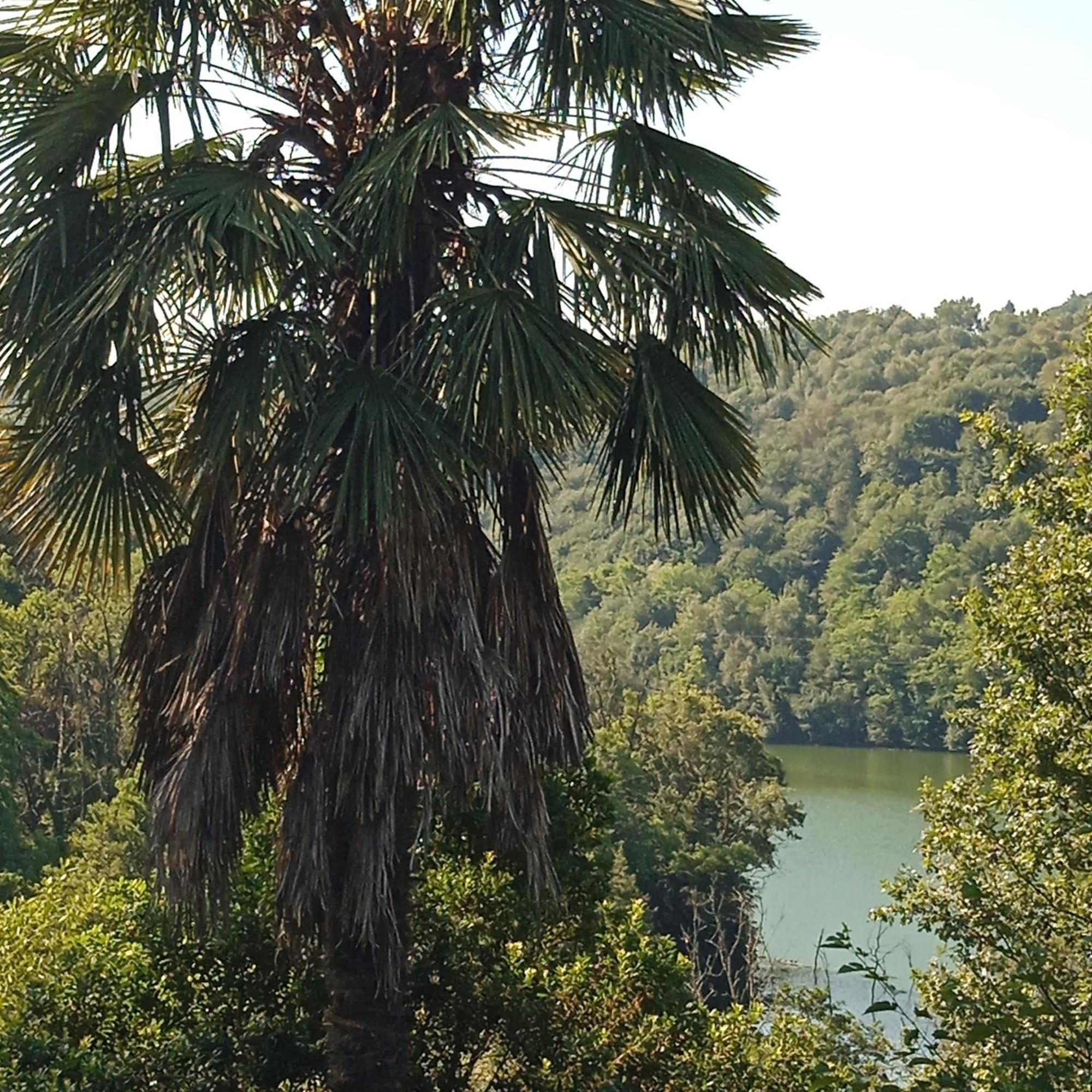 Il Canto Del Bosco Netro Esterno foto